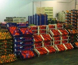 Expo Fruits image 3
