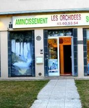 Les Orchidées image 12