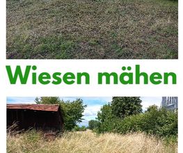 Wiesen mähen