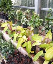 Johansen Landscape & Nursery image 20