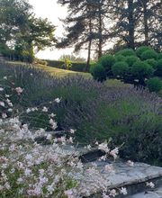 Baeza Christophe image 3