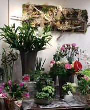 Au Pois De Senteur image 4