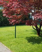 Kaya Dienstleistung & GaLaBau Bild 1