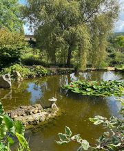 Les Jardins D'Eau image 5