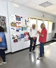 Gallery Cliente