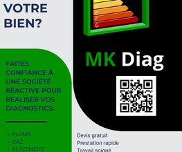 MK Diag image 2