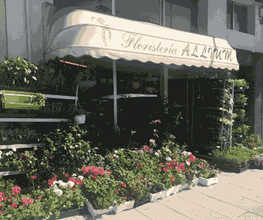 fachada-01-g.jpg