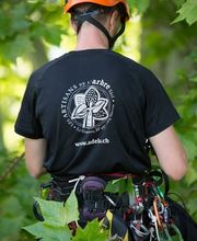 Les Artisans de L'Arbre Sarl Bild 4