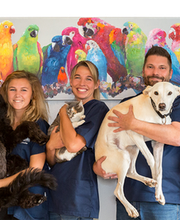 Tierarzt- und Bioresonanzpraxis Mahncke