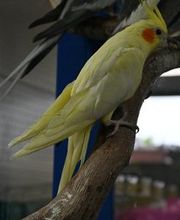 DAS FUTTERHAUS - Bremen-Weserpark Bild 6