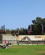 ACCIONA Charging Station imagen 4