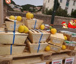 Spar image 13