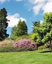 A.T.T.E.C.S. image 1