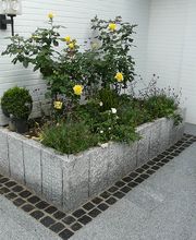 Matthias Paustian Garten- und Landschaftsbau GmbH Bild 19