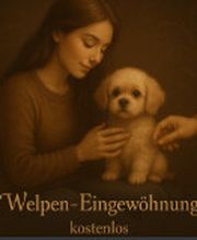 Screenshot 2025-10-23 172834.png