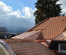 Rothacher Polybau AG Bild 1