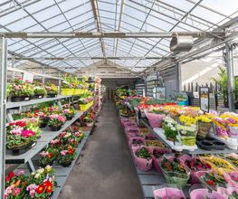 Le Carrefour De La Fleur image 8