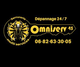 Omniserv 45 image 9