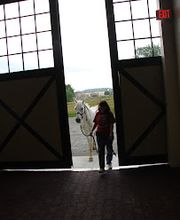 Tennessee Equine Hospital image 2