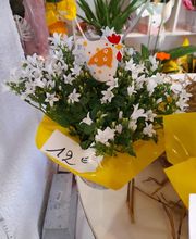 A Fleur de Rose image 2