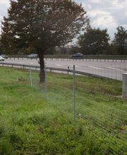 Wengler-Gruppe Bild 6