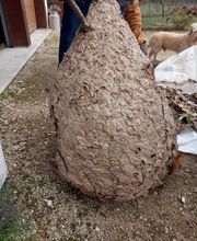 KH Anti-Nuisibles 3D image 6