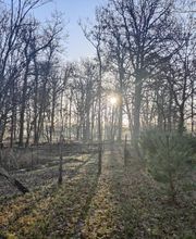 Spa L'orée des bois image 2