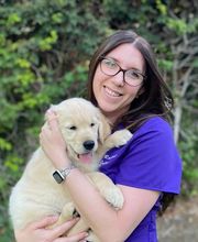 El Paseo Animal Hospital image 2