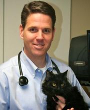 Middendorf Animal Hospital & Laser Centre image 16