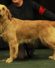 Elevage des Rives de la Bidouze image 10