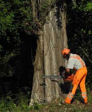 OekoPrax Völlmin AG Bild 1