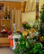 floristeria-aralia-floristeria-02.jpg