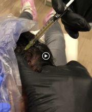 Clínica Stella imagen 12