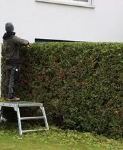 Ledergerber Gartenpflege AG Bild 8