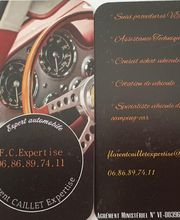 F. C Expertise image 5