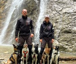 Dogs Adventure GmbH Bild 6
