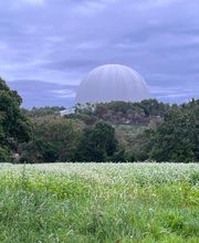 Quillévéré Bernard Magnétiseur image 9