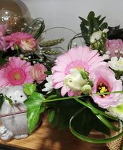 Amarillys Vernisse Fleurs image 2