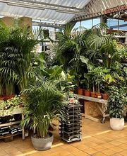 HORNBACH Gartencenter Potsdam Bild 3
