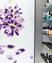 Apotheke zum Löwen Bild 9