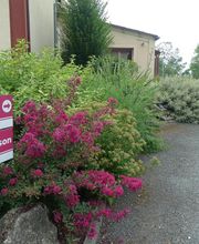 Pépinières Viticoles Amblevert image 10