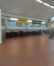 Gallery Cliente
