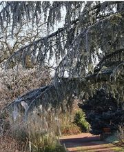 LOLAURE PHOTOS-PHOTOGRAPHE DE PAYSAGE image 4