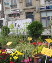 PEPINIERE DE BEL'AIR image 3