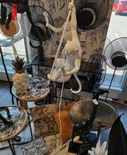 Ambiance Et Styles image 5