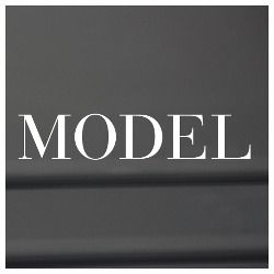 Model Store logo