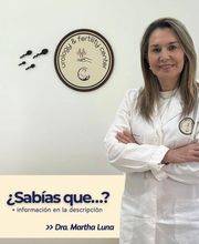 307264275-1-kes8bWd0Y81754475956658.jpeg