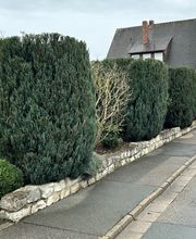 Gartenservice Mark Miess Bild 24