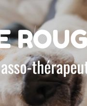 Virgine ROUGEMONT OPOIL Thérapie