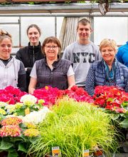 Fleurs Stempfler image 18